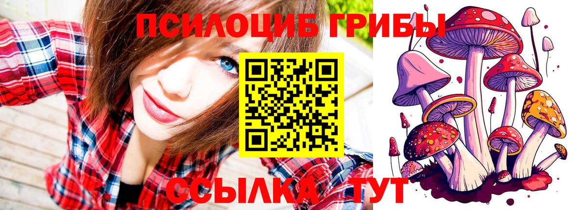 Псилоцибиновые грибы прущие грибы  Вход с VPN  Кострома  Галлюциногенные грибы Psilocybine cubensis 